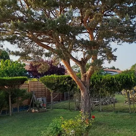 شقة Gracefulbliss-appt Fontcouverte (Charente-Maritime)